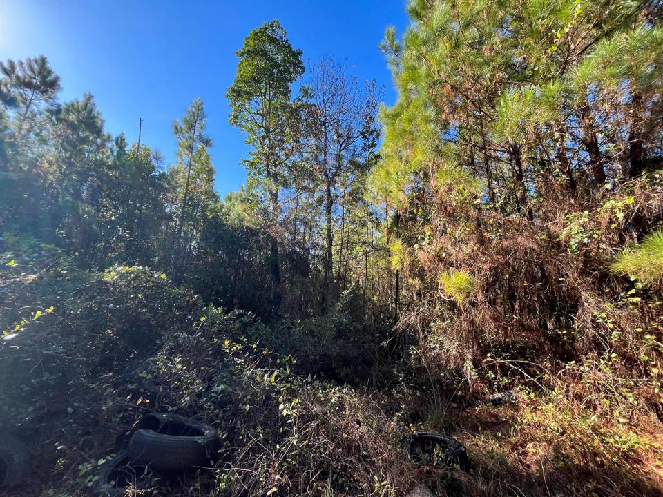 223 Mourning Dove Road, Floride 32189, États-Unis