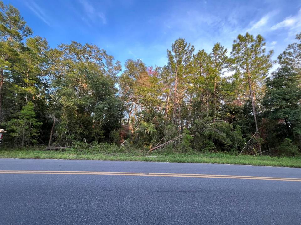 Tbd Twin Lakes Road, Florida 32148, Stati Uniti