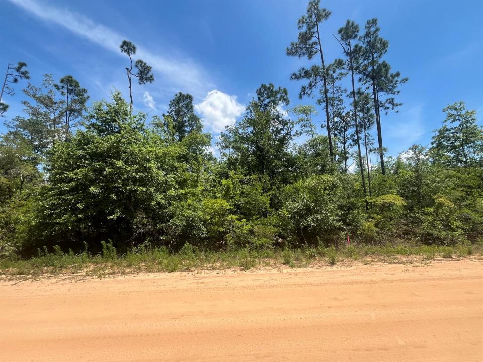 Tbd Tamarac Road, Florida 32448, USA