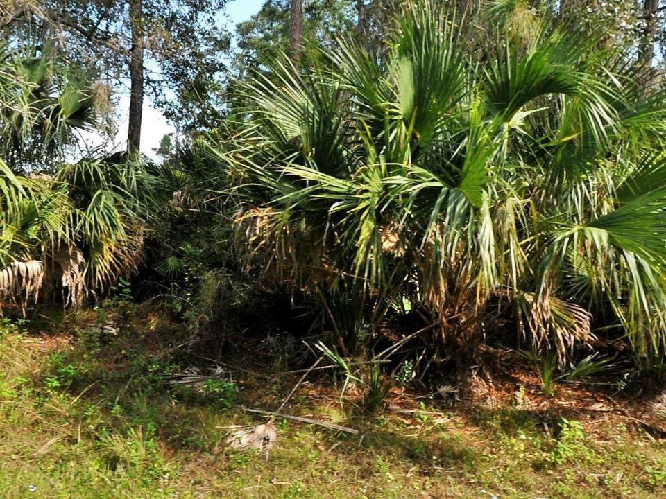 Tbd Abbington Street, North Port, Floride 34286, États-Unis