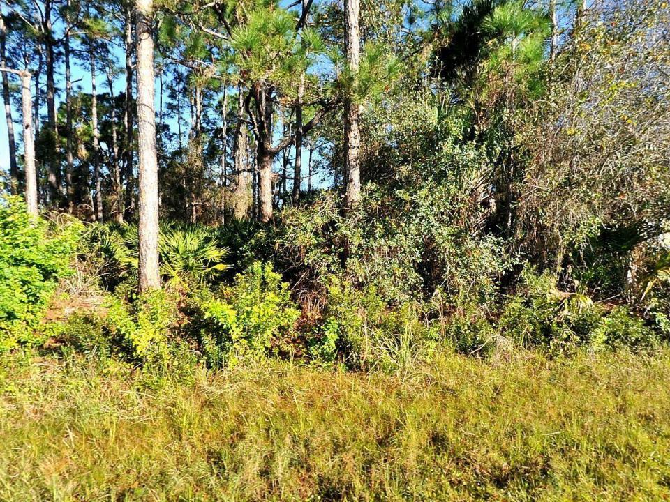0 Rosa Avenue, North Port, Floride 34286, États-Unis