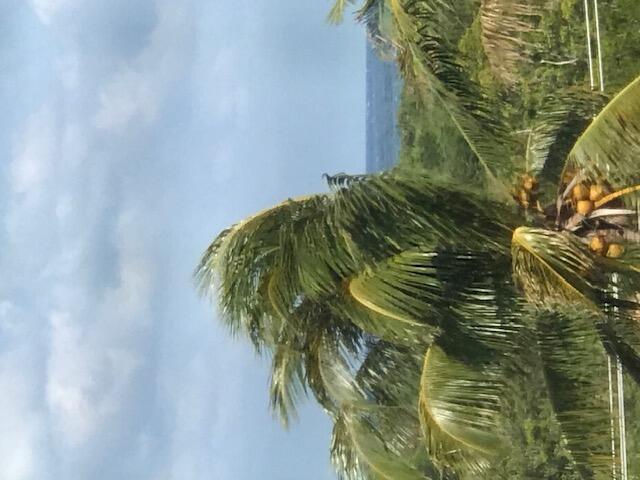 275 Palm Avenue C503, Jupiter, Floride 33477, États-Unis
