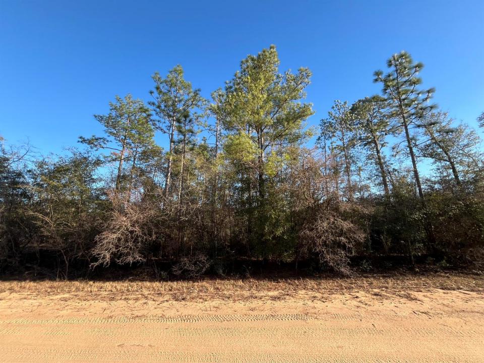 Tbd Goreville, Florida 32420, Stati Uniti