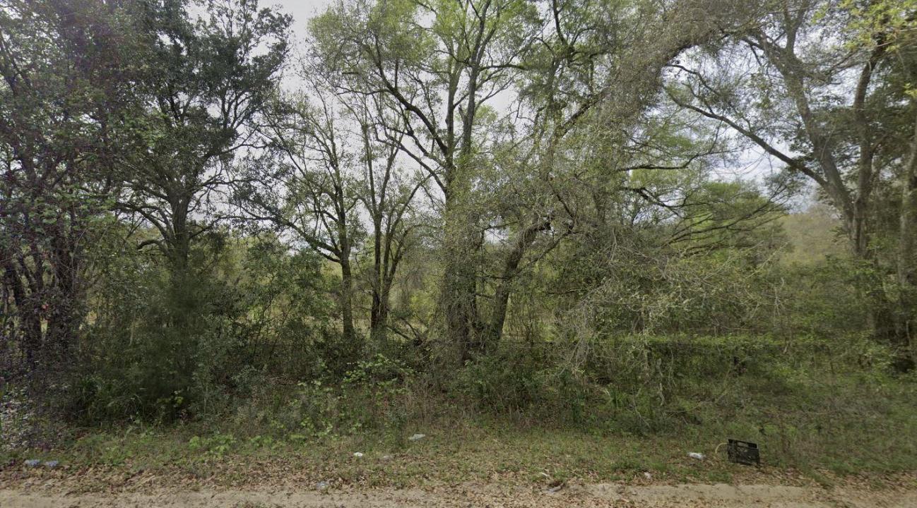 305 Milton Avenue, Florida 32148, Stati Uniti