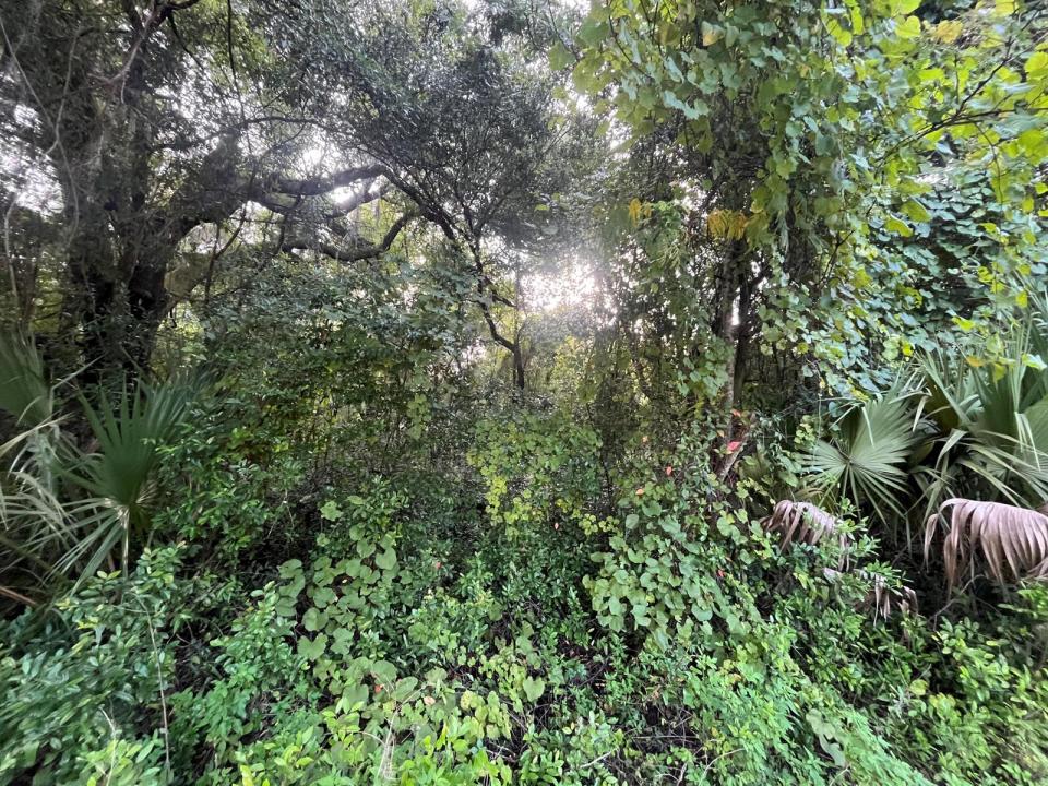 915 Annette Avenue, Florida 32148, Stati Uniti