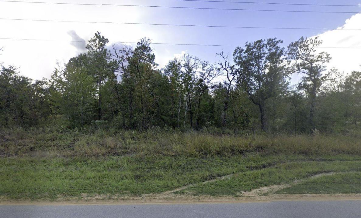 1504 Lakeview Trail, Floryda 32148, USA