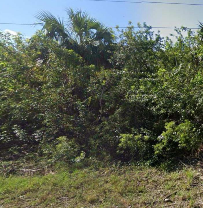 886 Bitlis Street SW, Palm Bay, Florida 32908, Stati Uniti