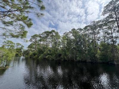 1123 Greenfield Street, Lake Placid, Floride 33852, États-Unis