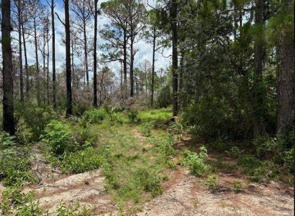 328 Claverton Drive, Lake Placid, Floride 33852, États-Unis