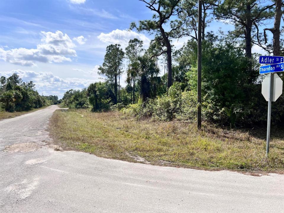860 Adler E Street, Lehigh Acres, Florida 33974, Stati Uniti