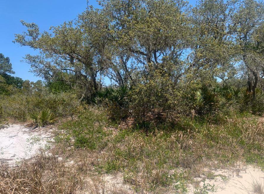 2924 W Quincy Road, Floride 33825, États-Unis