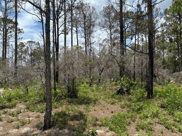 0 Claverton Drive, Lake Placid, Floride 33852, États-Unis