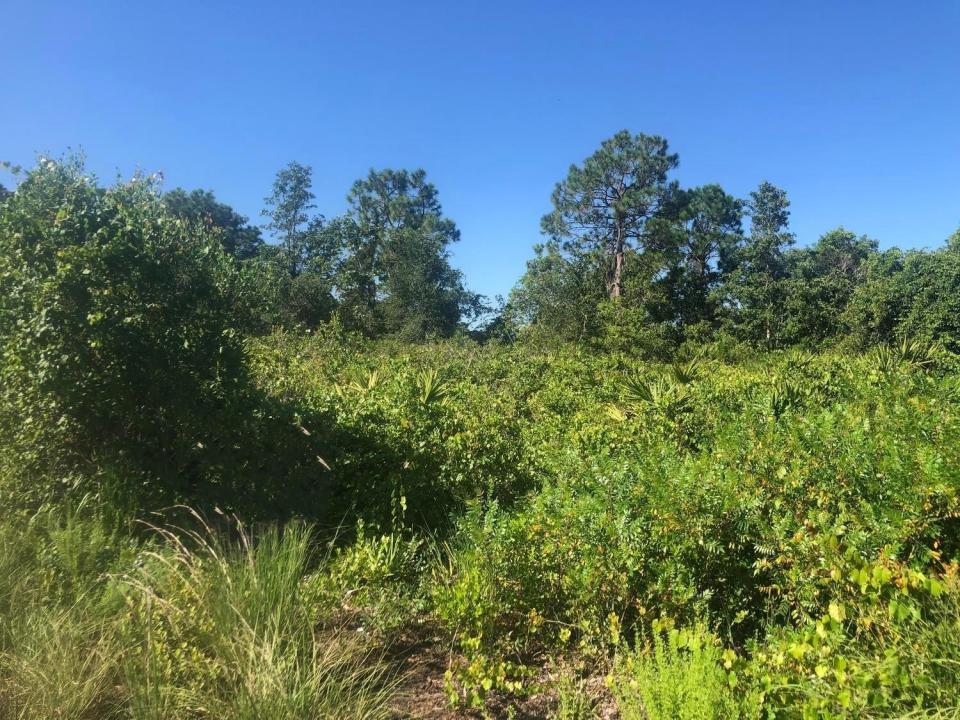 153 Disney Boulevard, Floryda 33825, USA