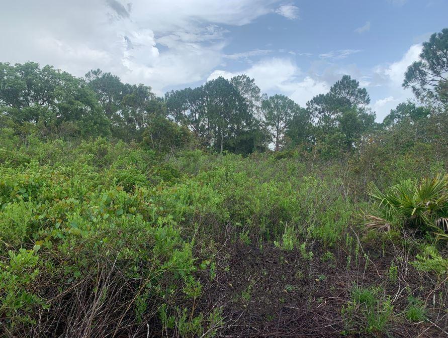 4105 Nogales Avenue, Sebring, Floride 33872, États-Unis