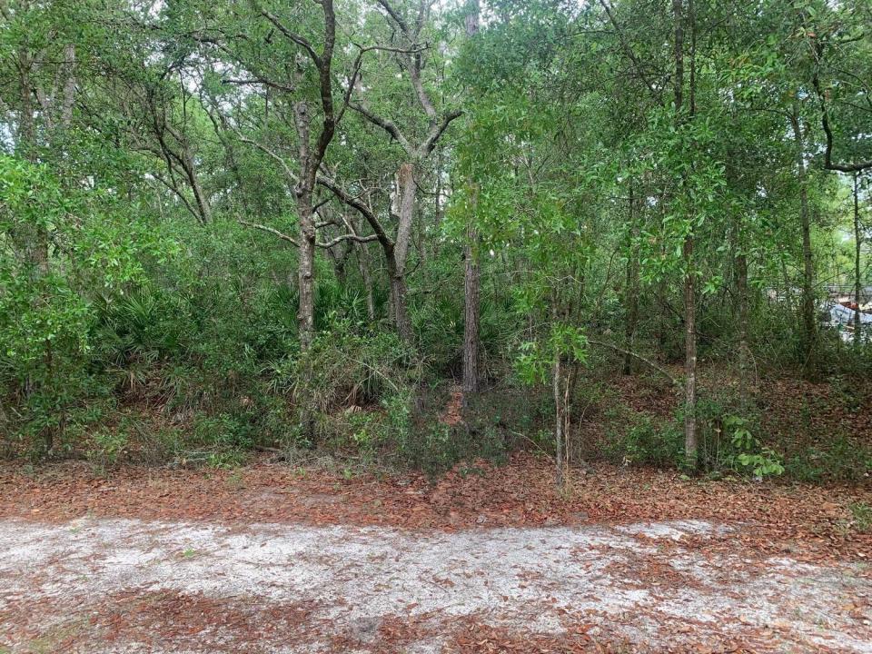 209 Highline Trail, Floride 32189, États-Unis