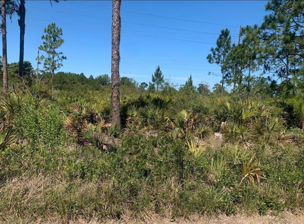 329 Phesant Boulevard, Sebring, Floride 33872, États-Unis