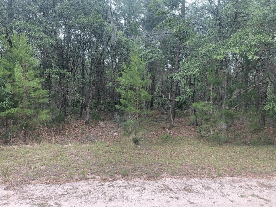 0 Huron, Florida 32148, Estados Unidos