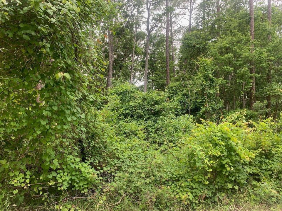 123 Coot Road, Floride 32189, États-Unis