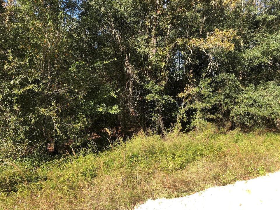 0 Evans Avenue, Florida 32148, USA