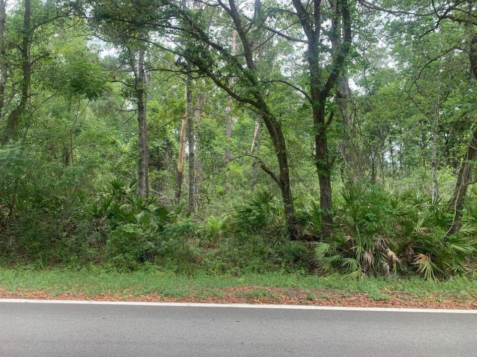 0 Theresa Avenue, Floride 32148, États-Unis