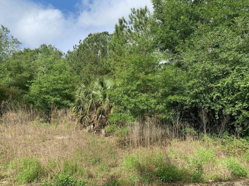 0 Douglas Drive, Flórida 32148, Estados Unidos