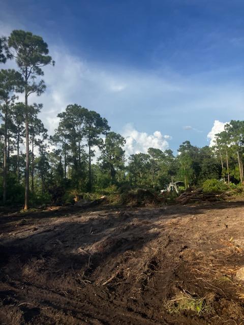2018 Canton Avenue, Florida 33920, USA