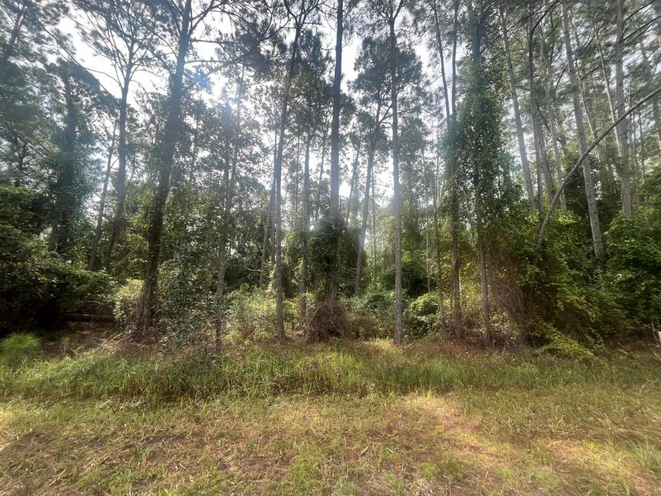 223 SE 2nd Street, Floride 32139, États-Unis