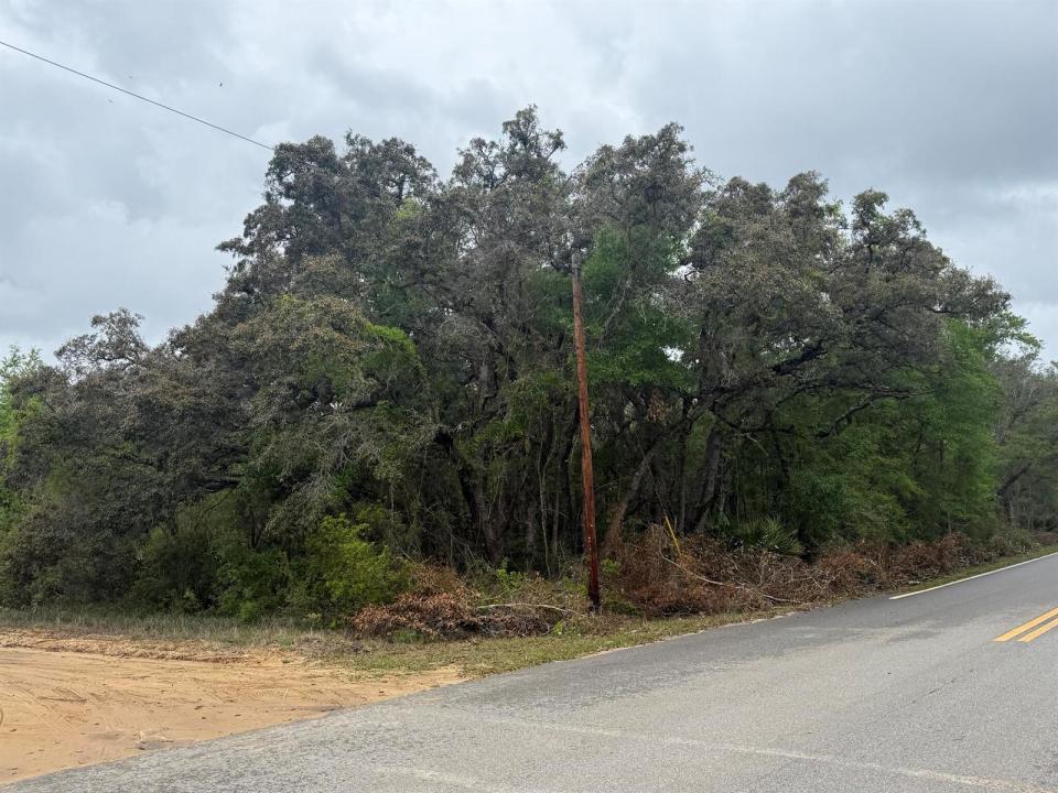 Tbd Theresa Avenue, Floride 32148, États-Unis
