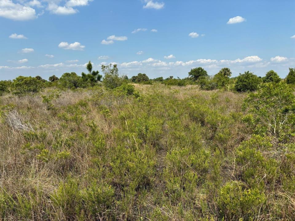 0 NW 320th Street, Okeechobee, Floride 34972, États-Unis