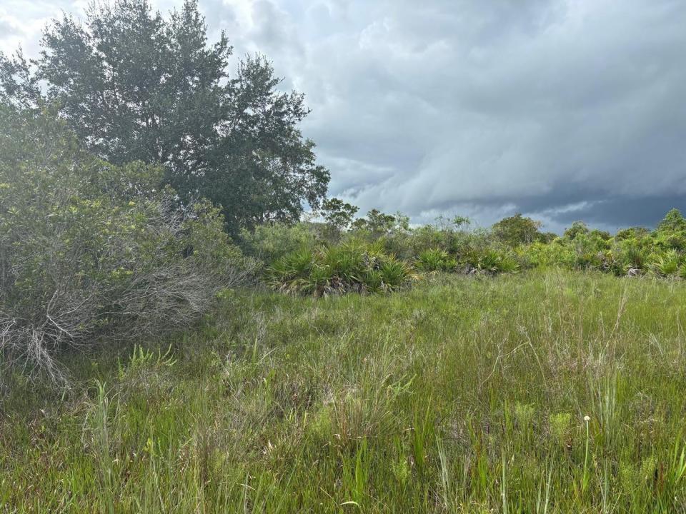 0 NW 312th Street, Okeechobee, Florida 34972, USA