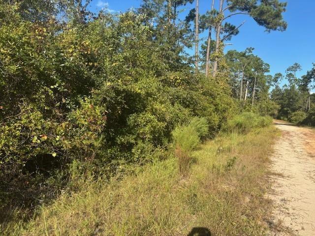 0 Mulberry Drive, Floride 32448, États-Unis