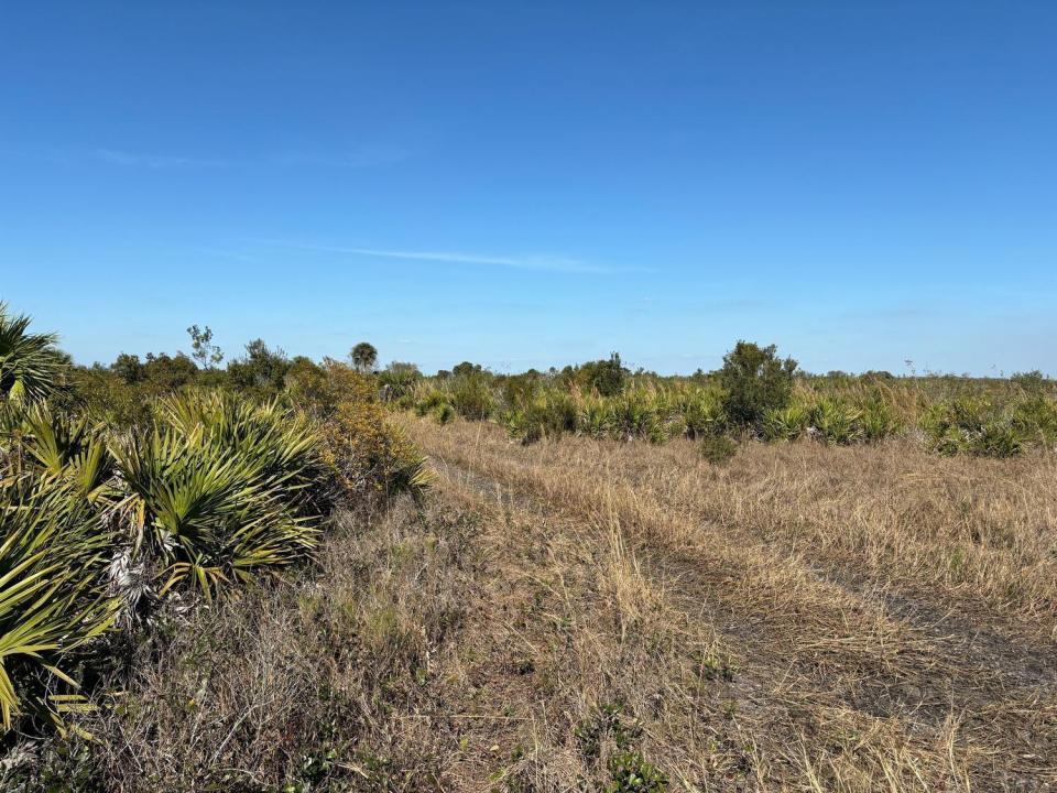 0 NW 316th Street, Okeechobee, Floride 34972, États-Unis