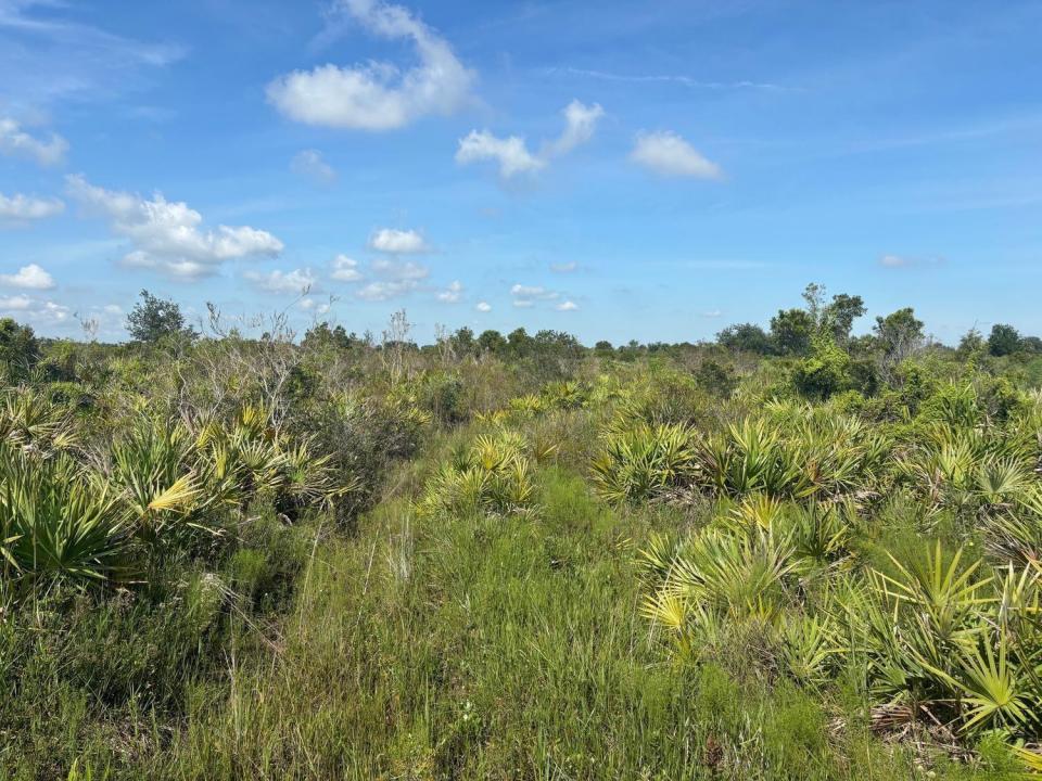 0 NW 312th Street, Okeechobee, Florida 34972, Stati Uniti