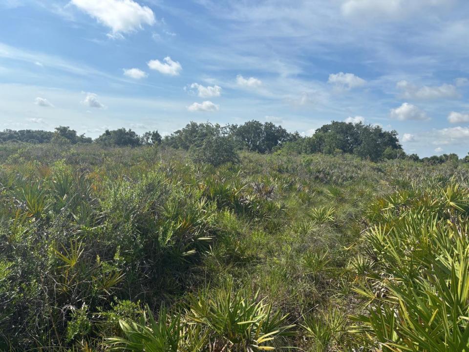 0 NW 310th Street, Okeechobee, Florida 34972, USA