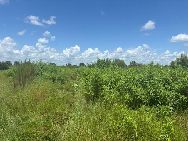 0 NW 318th Street, Okeechobee, Florida 34972, USA