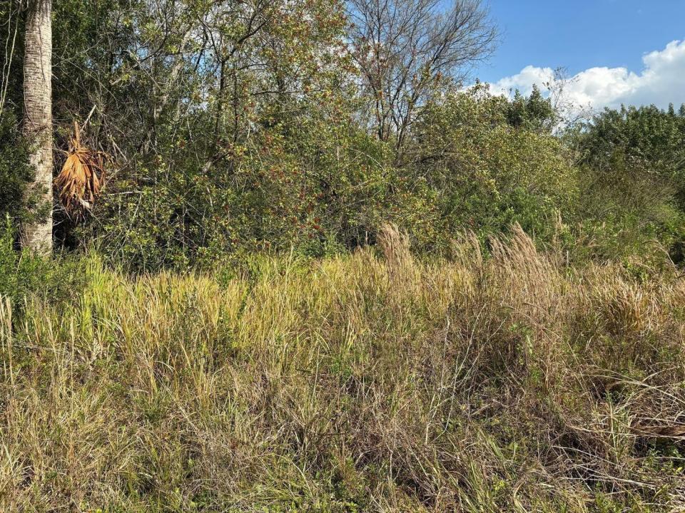 3584 US Highway 98, Okeechobee, Florida 34972, USA