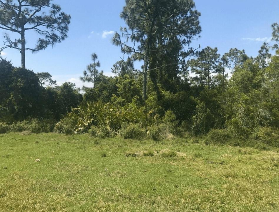 0 Holopaw Groves Road, Florida 34772, Stati Uniti