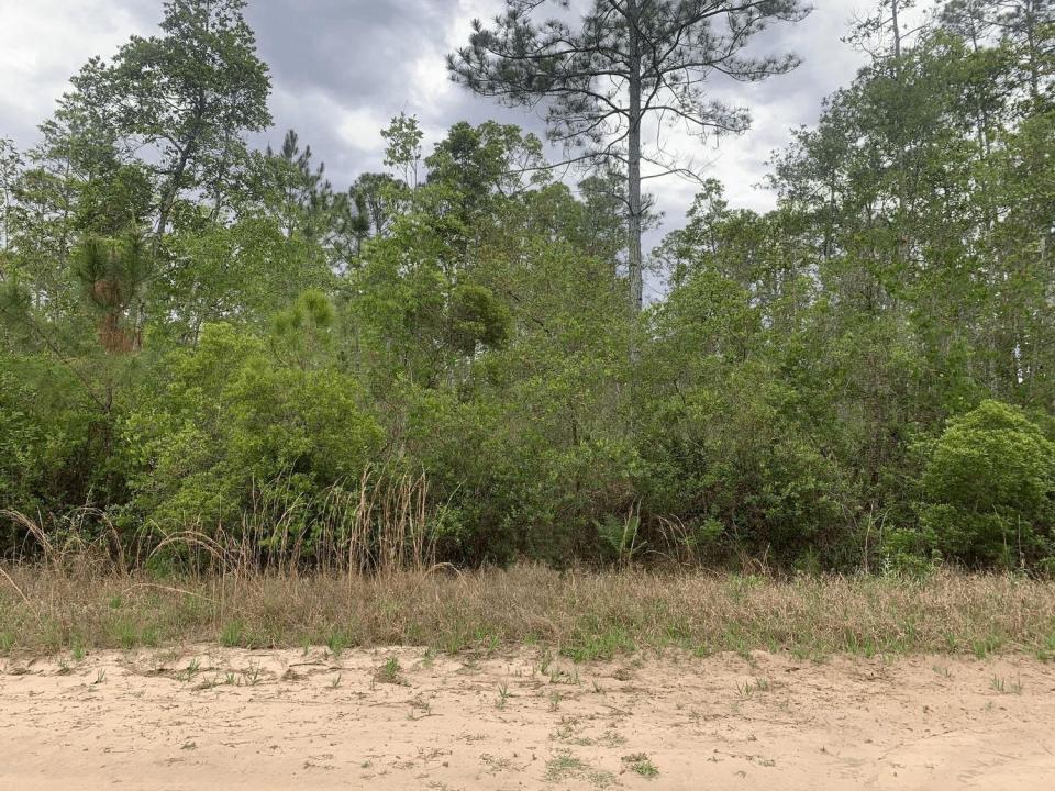 0 W Basford Street, Floride 32148, États-Unis