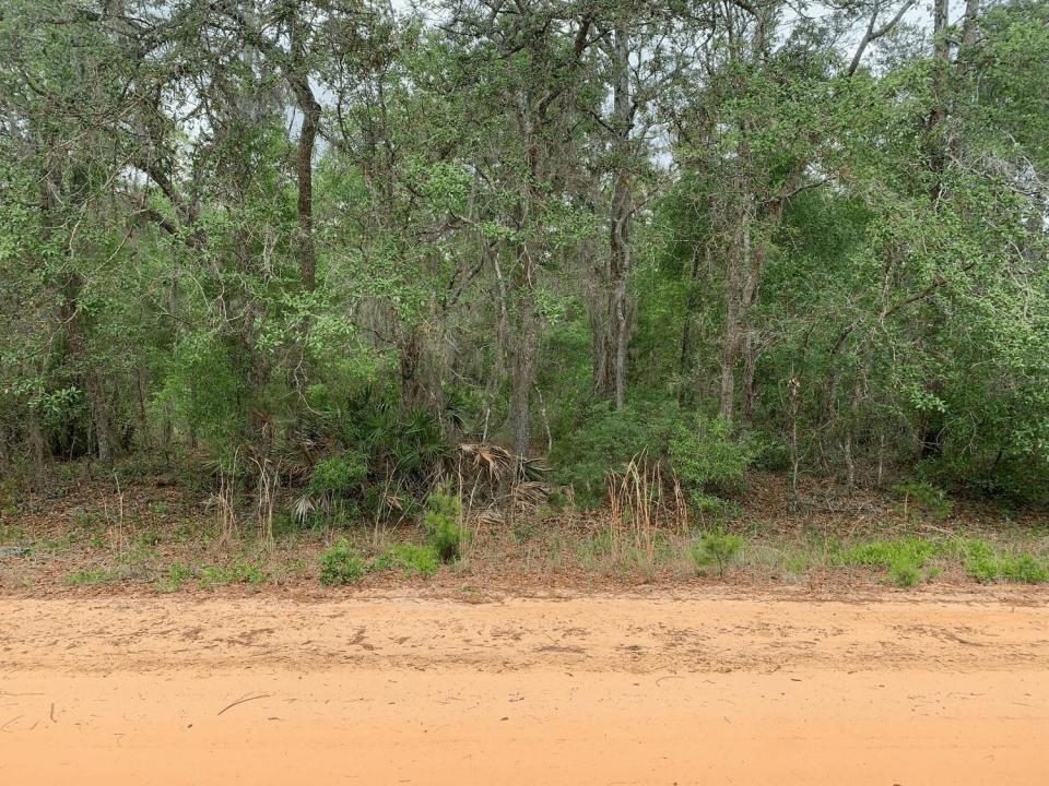 0 David Avenue, Florida 32148, Stati Uniti