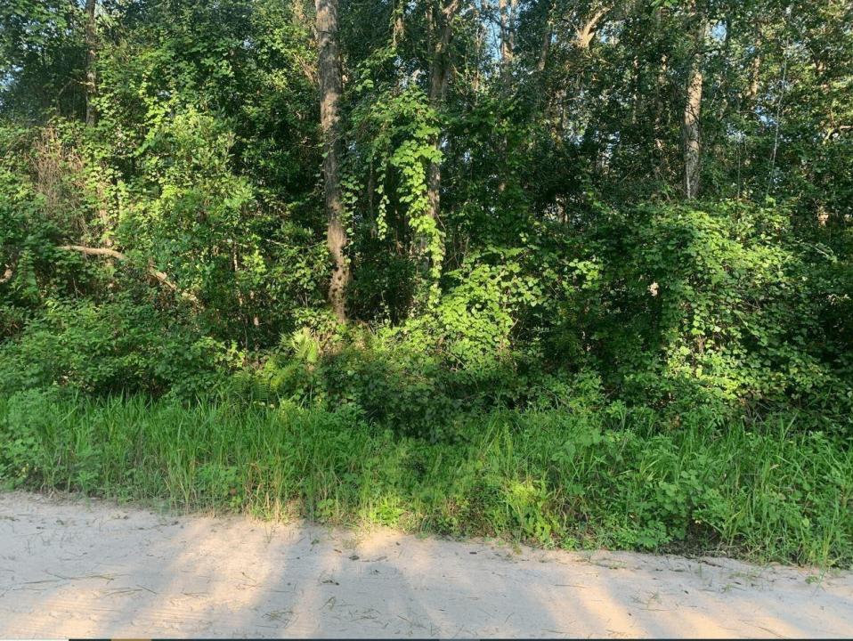 0 Ida Boulevard, Floryda 32148, USA