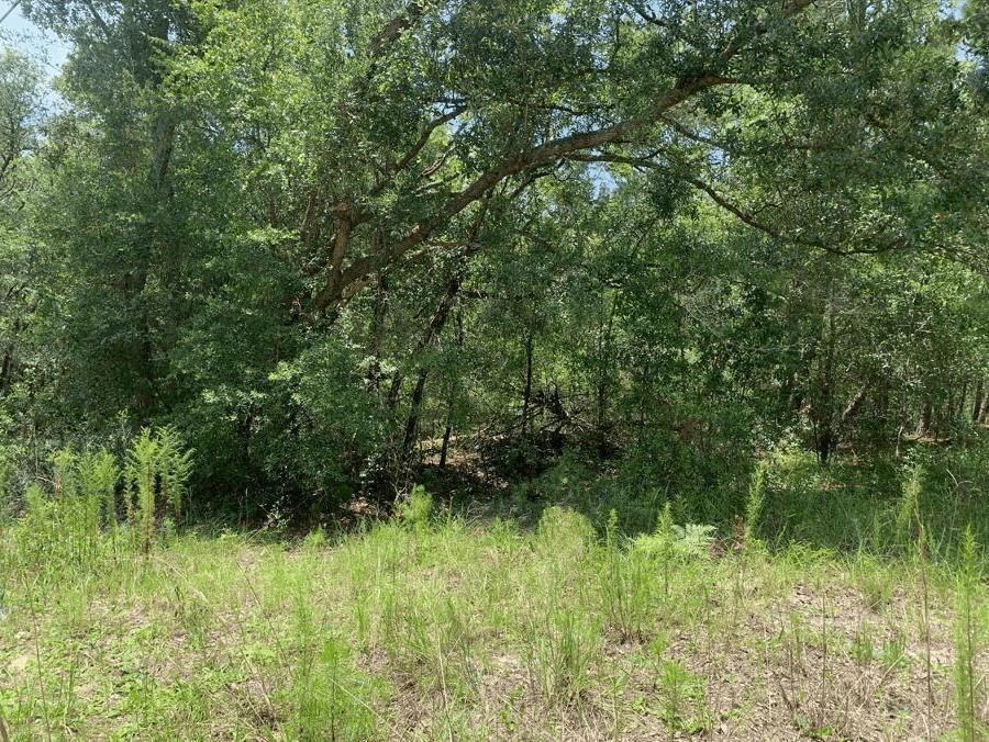 0 Oklahoma Avenue, Florida 32189, USA