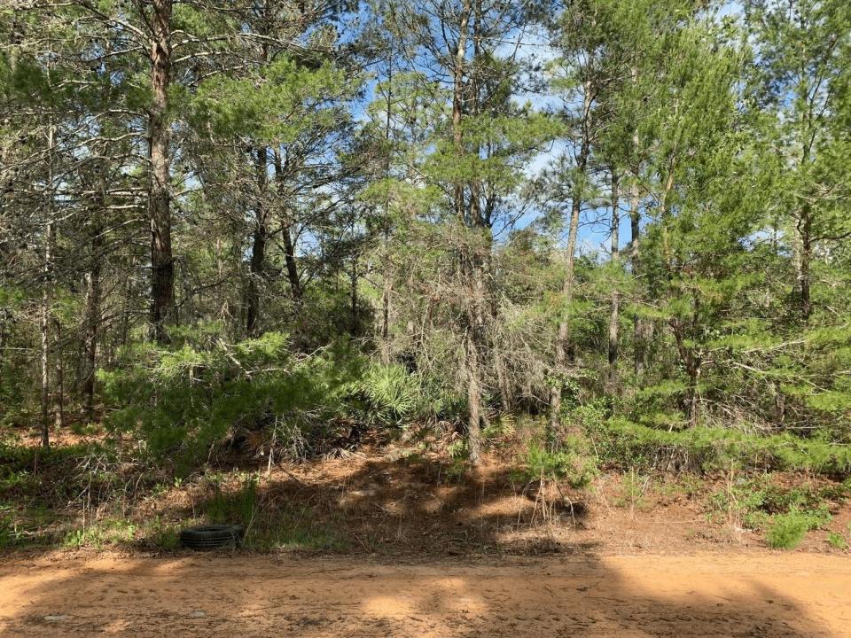 0 Louise Avenue, Florida 32148, Stati Uniti