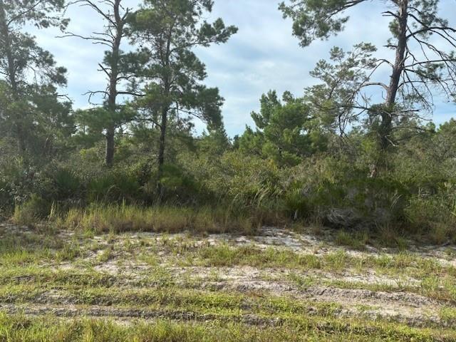 0 Cypress Street, Floride 32148, États-Unis