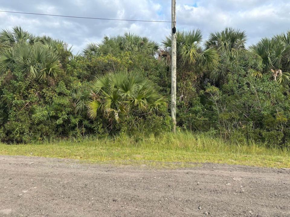 3223 SW Mockingbird Avenue, Palm Bay, Florida 32908, Stati Uniti