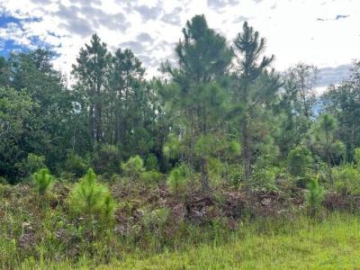 1131 Greenfield Street, Lake Placid, Floride 33852, États-Unis