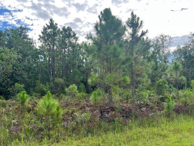 1131 Greenfield Street, Lake Placid, Floride 33852, États-Unis