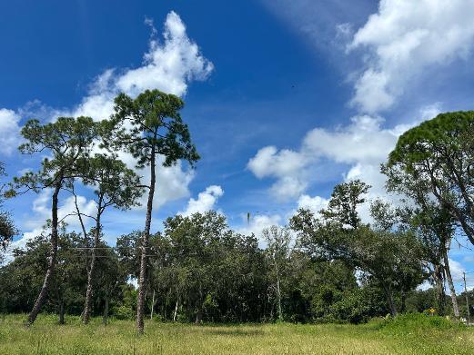 2115 N Cr 78 Road, Florida 33935, USA