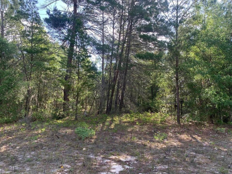 0 Evans Avenue, Florida 32148, USA
