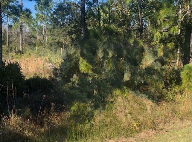 0 Kenansville, Okeechobee, Florida 34739, USA