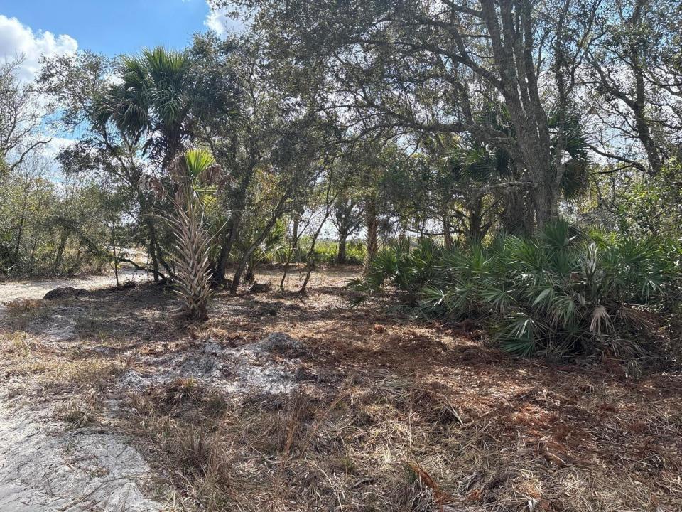 0 NW 300th Street, Okeechobee, Florida 34972, USA